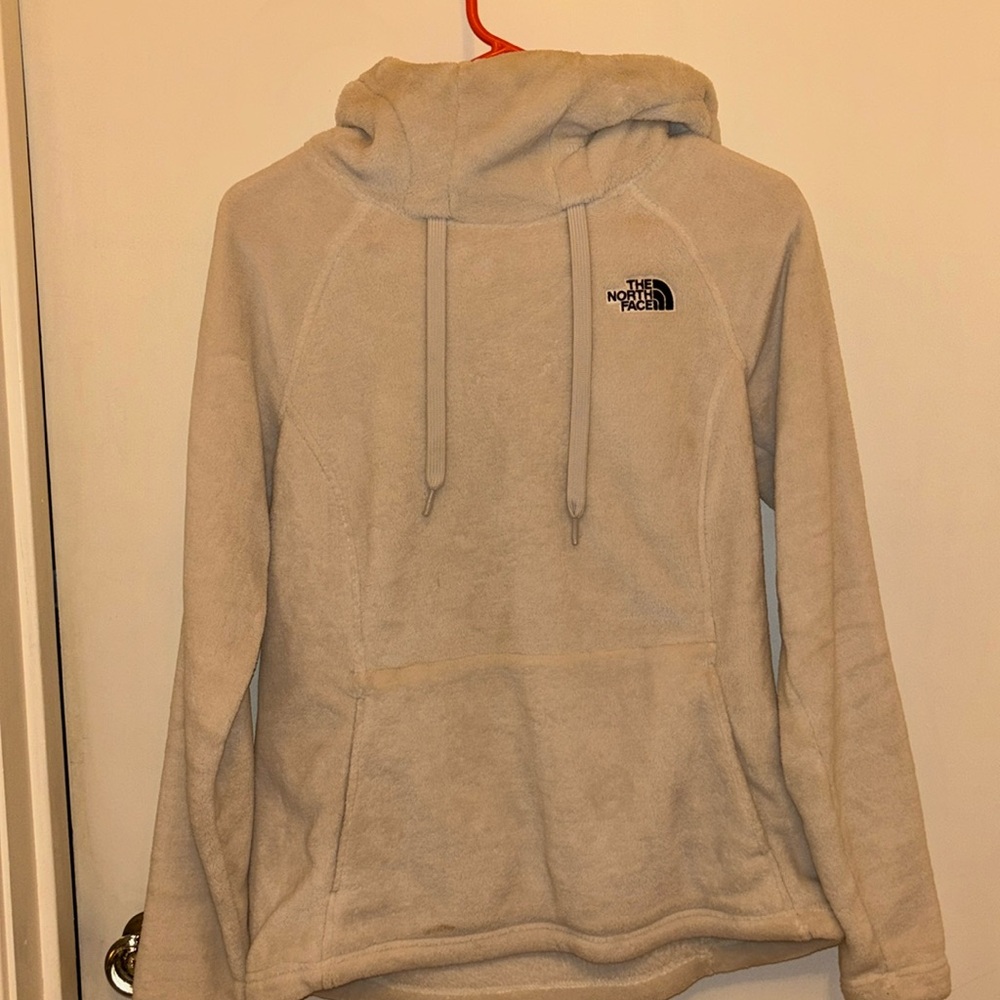 The north face hoodie size small